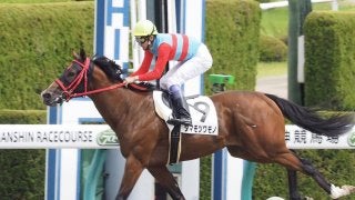 【新馬/阪神3R】武豊 タマモツワモノがデビューV！