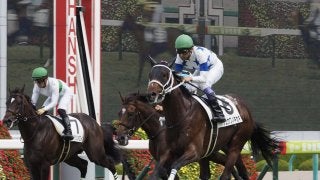 【新馬/阪神5R】武豊 チュウワノキセキが差し切りデビューV！