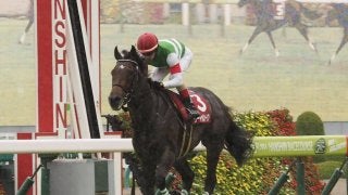 【神戸新聞杯】サートゥルナーリアが圧勝！秋初戦を制する