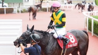 【神戸新聞杯】武豊「ラストの脚は良かった」ワールドプレミアは上がり最速の3着