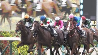 【西宮S】ジェシーが人気に応えて差し切り！