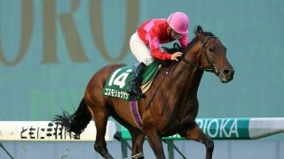 【盛岡・OROカップ】コスモリョウゲツが３馬身差で完勝！