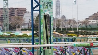 【オールカマー】前年比売上アップ！レイデオロ ウインブライトが出走