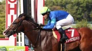 【スプリンターズS】登録馬と見どころ タワーオブロンドンなど