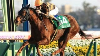 コース適正も血統も抜群。スプリンターズＳは牝馬２頭で決まり