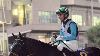 【レディスプレリュード】JRA出走予定馬