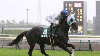 スプリンターズＳは今年も荒れる。穴党記者が推す自信の「穴馬４頭」