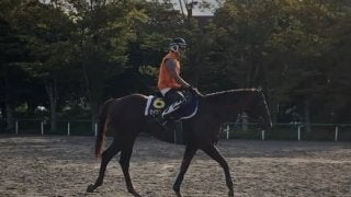 【スプリンターズS】セイウンコウセイ 上原師「昨年よりもいいコンディション」