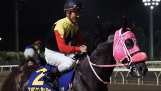 アポロケンタッキー号が競走馬登録抹消