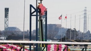 中山競馬場の馬場情報