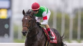 サートゥルナーリア×スミヨン！秋天で新コンビ