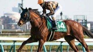 スプリンターズＳで「２強」を脅かすのは、馬場を味方にできる快速馬