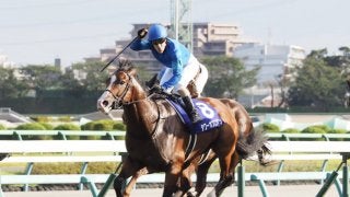 【スプリンターズS】タワーオブロンドンが直線一気の差し切り！