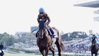 【スプリンターズS】松若「悔いはありません」モズスーパーフレアは惜しい2着