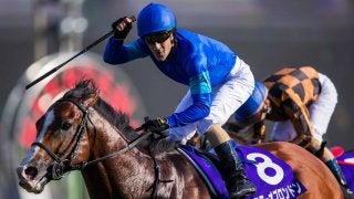 【スプリンターズS】ルメール「中山がちょっと心配だった」タワーオブロンドンが豪快な差し切り！