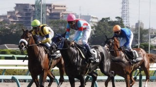 【サフラン賞】武豊マルターズディオサが差し切り！2勝目
