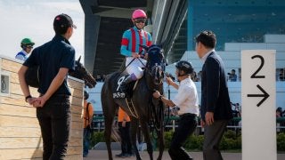 【サフラン賞】武豊「身のこなしが柔らかい」マルターズディオサがV！