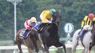 【東京盃】枠順と見どころ 菜七子コパノキッキングは2枠2番