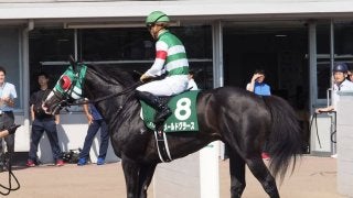2019コーフィールドカップ（G1）日本馬がオーストラリアに到着