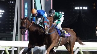 【レディスプレリュード】アンデスクイーンがゴール寸前で差し切り！交流重賞を連勝