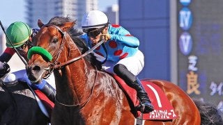 2019凱旋門賞（G1）日本馬の近況（10月2日）