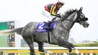 毎日王冠の狙いは２頭が中心。逃げる「紅一点」馬か追う３歳有力馬だ