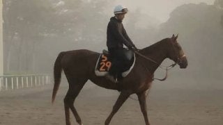 【サウジアラビアRC】サリオス スケールの大きい走りで2連勝狙う