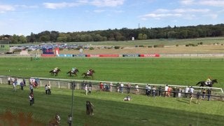 2019凱旋門賞（G1）パリロンシャン競馬場の馬場状態および天気予報について（日本時間10月4日17時30分現在）