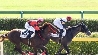 【新馬/東京4R】タイアンキチジツが最内強襲！デビュー勝ち