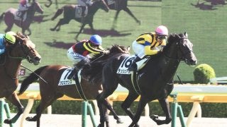 【新馬/東京5R】ラッシュアップがデビューV！圧倒的人気のクロミナンスは3着