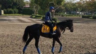 【京都大賞典】グローリーヴェイズ  尾関師「馬は完成期」