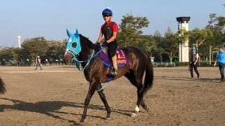 【六社S】オジュウチョウサンが久々の平地競馬に登場！