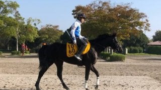 【毎日王冠】ダノンキングリー 戸崎「この秋は大きなタイトルを」