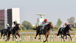 【サウジアラビアRC】前年比売り上げ 人員ともにアップ