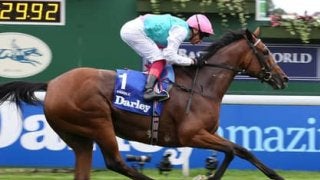 エネイブルの凱旋門賞３連覇はアリ。武豊の騎乗馬などその他注目は？