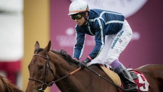 武豊騎手のフランスにおける騎乗成績（10月5日）