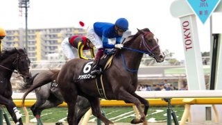 【六社S】2番人気のアフリカンゴールドが差し切り！オジュウチョウサンは敗れる