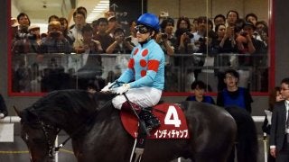 【毎日王冠】福永「成長を感じた」インディチャンプは僅かに遅れをとり3着まで