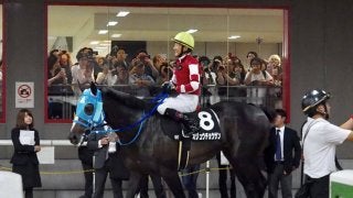 【六社S】石神「上がり勝負になってしまった」二刀流オジュウチョウサンは見せ場なく敗退