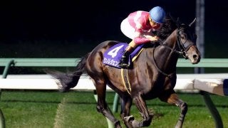 【盛岡・ダービーグランプリ】リンノレジェンドが快勝！