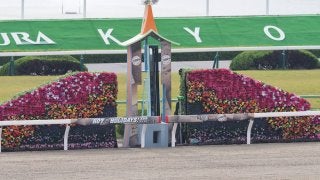 【京都大賞典】ドレッドノータス勝利で大波乱の決着！売り上げ入場人員はダウン