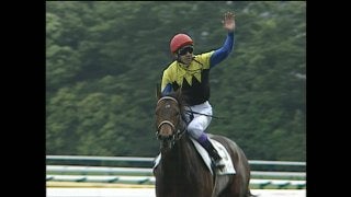 ディープインパクト追悼番組が放送