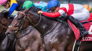 【秋華賞】出走馬の調教後の馬体重