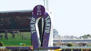 東京競馬10月12日、13日の開催中止について