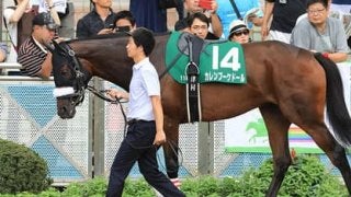 穴党記者が近年の秋華賞の傾向を分析。そこから導き出された穴馬４頭