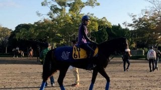 【府中牝馬S】ダノングレース 国枝師「重賞でもやれる」