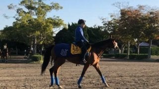 【府中牝馬S】フロンテアクイーン 国枝師「今年も同じくらい走ってくれれば…」