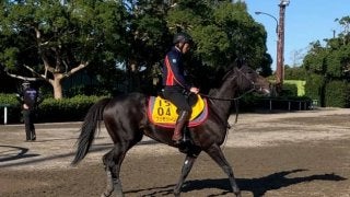 【府中牝馬S】プリモシーン 木村師「フットワークの質がいい」