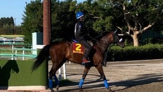 【秋華賞】カレンブーケドール 津村「いい感触でした」