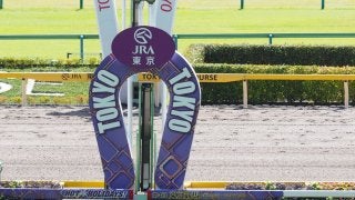 10月14日（祝・月）の中央競馬は通常通り開催